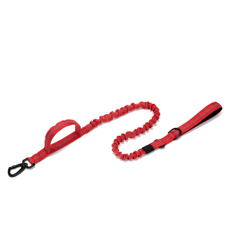 Durable Nylon Dog Collar and Leash Set for Large Breeds