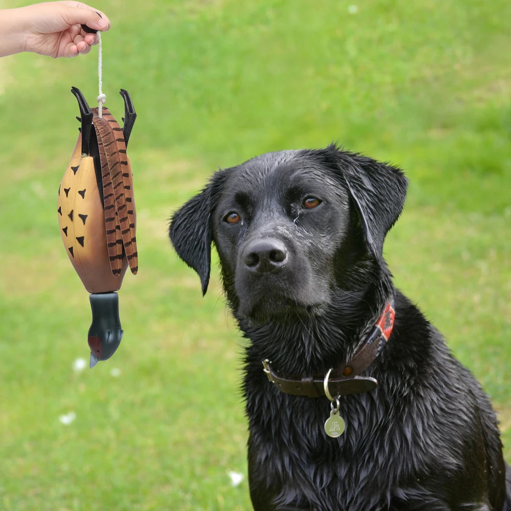 Twister Dead Fowl Fetch Toy for Dog Training Indoor Outdoor Essential Agility Equipment
