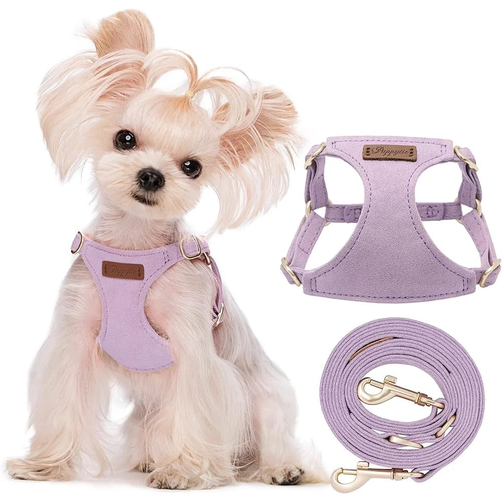 CN Fujian Adjustable No Pull Puppy Harness With Leash