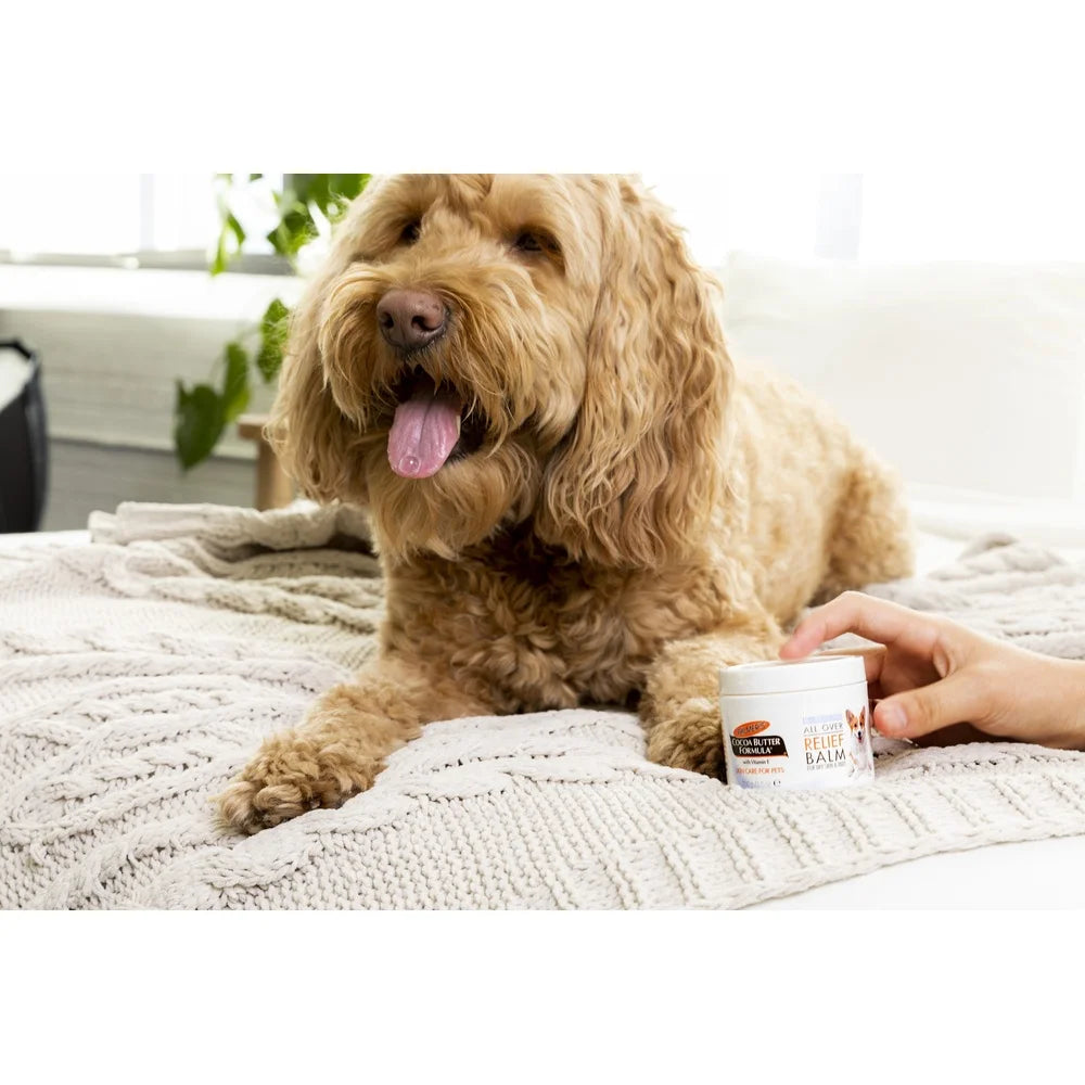 Hign-concerned Cocoa Butter Dog Paw Balm Moisturizing
