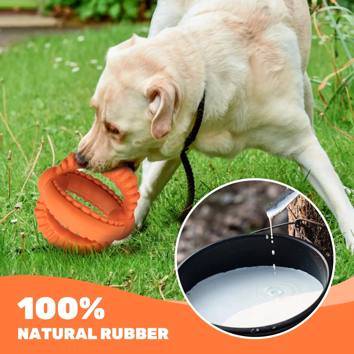 Interactive Detachable Dog Tug Toy with Natural Rubber Rings