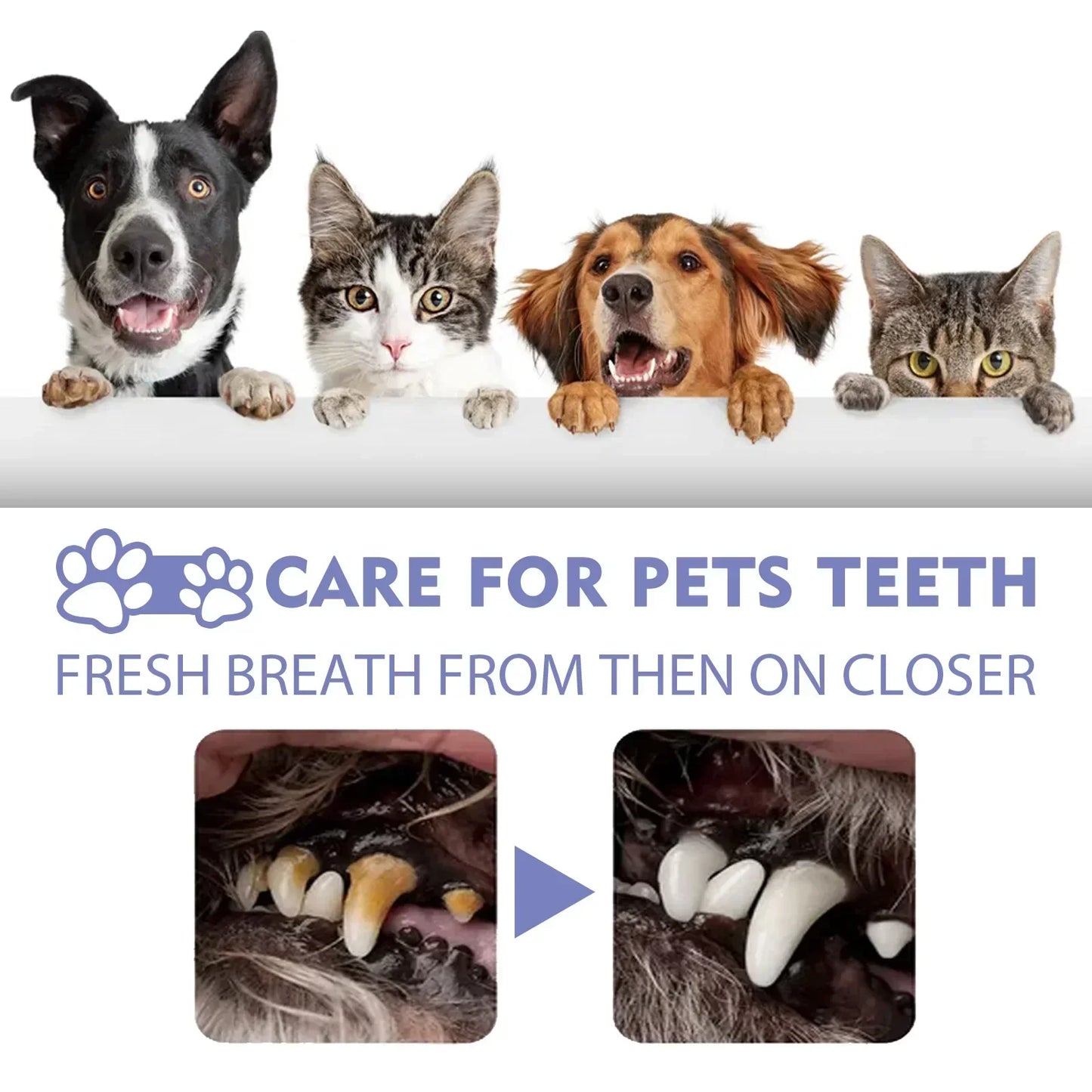 Pet Tooth Cleaning Spray for Dogs and Cats 30ml Oral Care Freshener Deodorization Dental Care