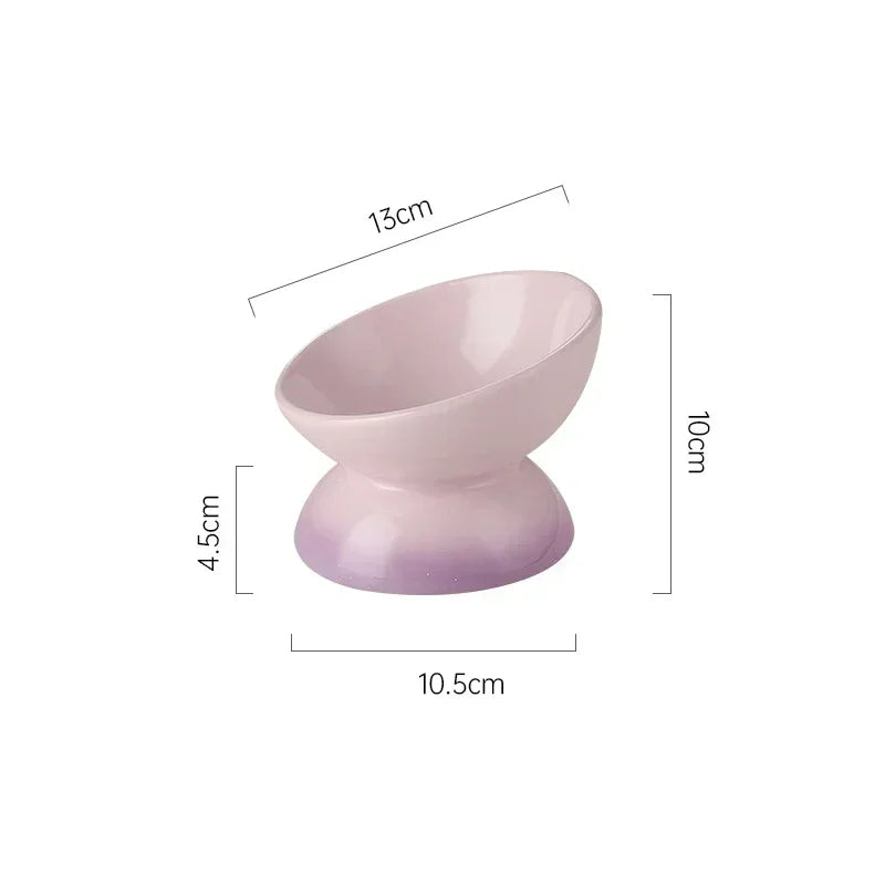 Tilted Ceramic Pet Bowl for Cats and Dogs Raised Feeding Station