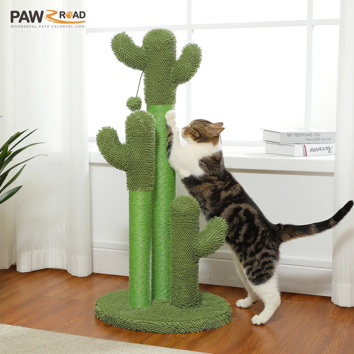 Pequlticn Cactus Cat Tree With Condo Hammock Ball Indoors