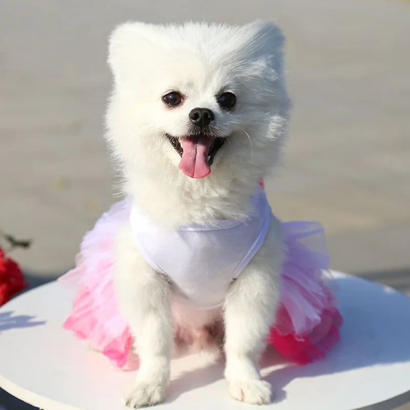 Sweet Dog Princess Dress for Small Dogs Lace Tutu Skirt Pet Apparel Summer Autumn Chihuahua Dress