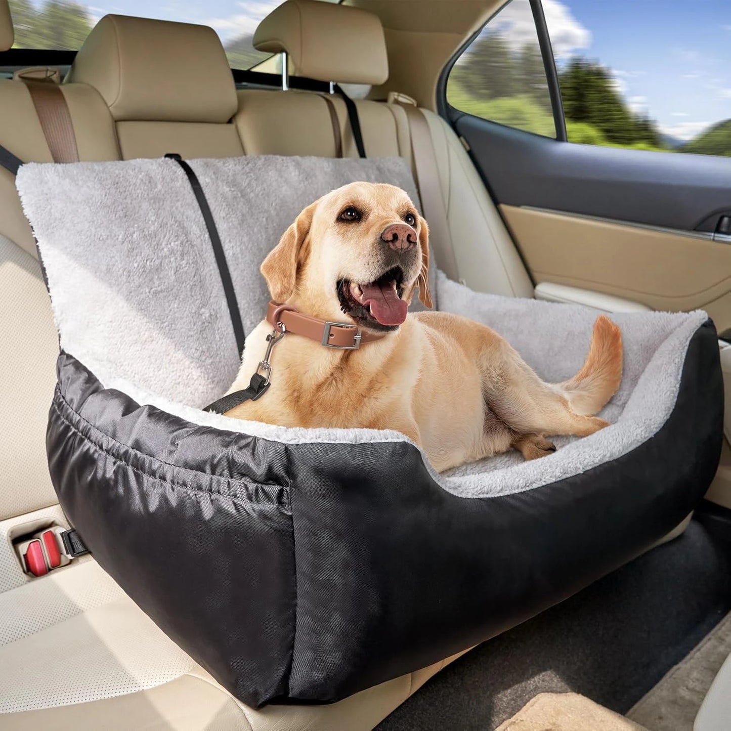 Dog Car Seat for Small Dogs by NoEnName Fully Detachable and Washable Pet Booster Seat