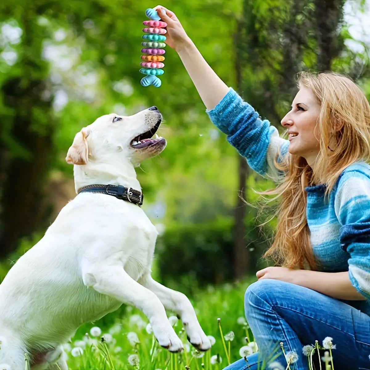 Durable 2PCS Multi Color Dog Chew Toys for Dental Care