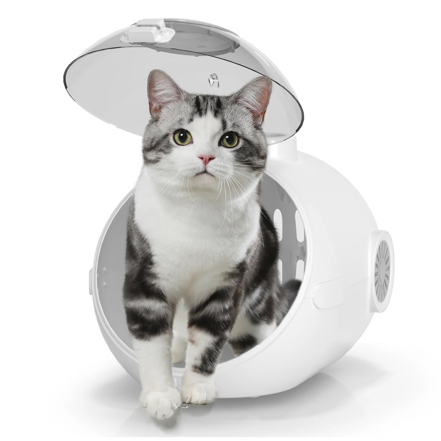 Cat Handbag with Fan Breathable Granary Design Large Space for Small Medium Dogs Puppies