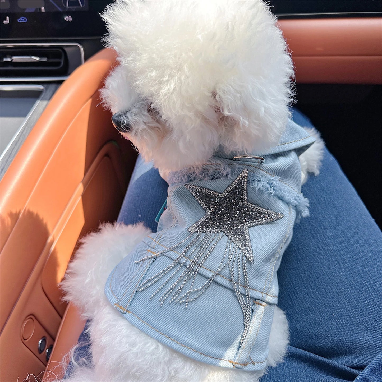 Dog Denim Jacket Vest Costume by NoEnName Classic Jean Coat for Everyday Wear and Special Occasions