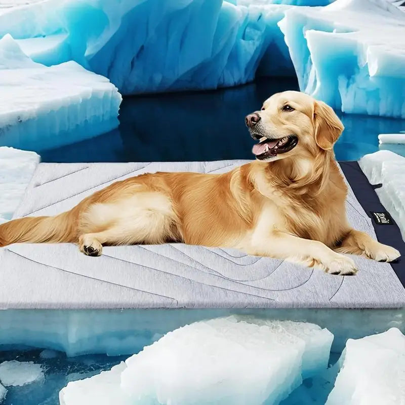 Zonli Eco-Friendly Cooling Pet Mat for Large Dogs and Cats