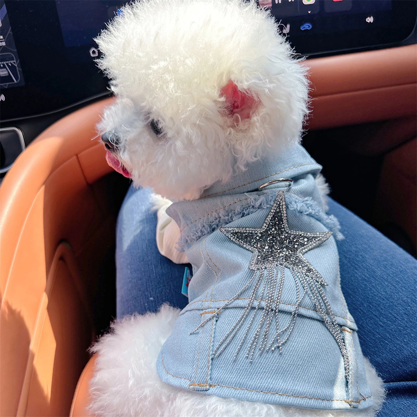 Dog Denim Jacket Vest Costume by NoEnName Classic Jean Coat for Everyday Wear and Special Occasions