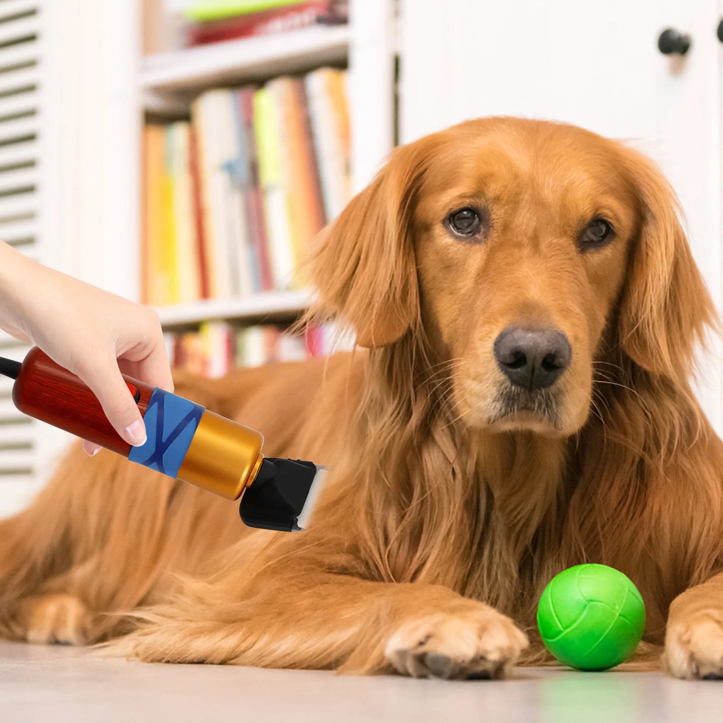 Low Noise Professional Pet Hair Clipper for Dogs and Cats