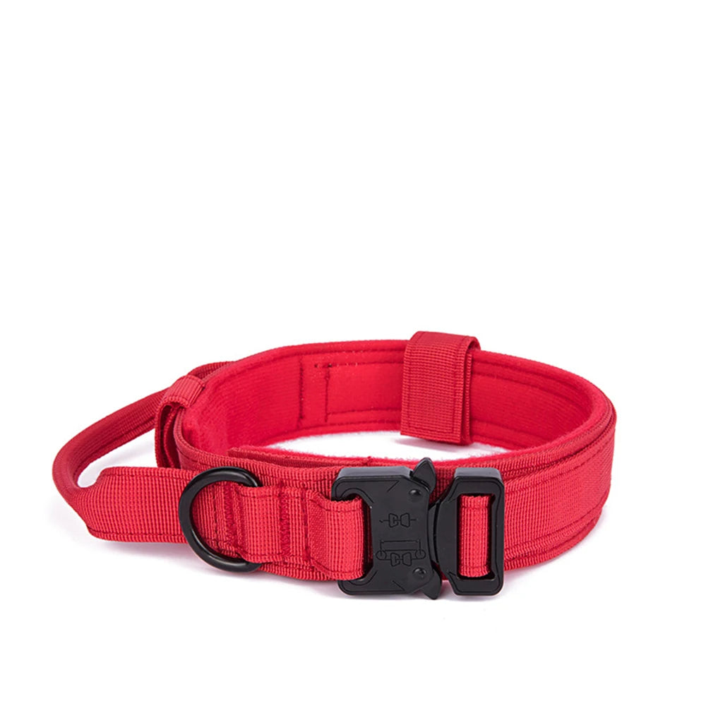 Durable Nylon Dog Collar and Leash Set for Large Breeds