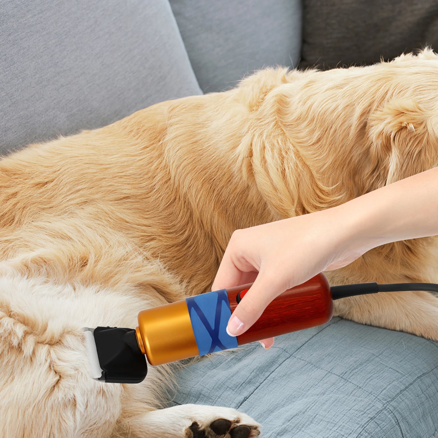 Low Noise Professional Pet Hair Clipper for Dogs and Cats