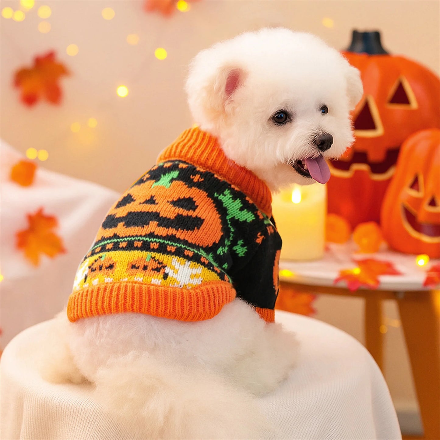 Halloween Ghost Costume for Dogs and Cats by NoEnName Knitted Pumpkin Sweater Outfit