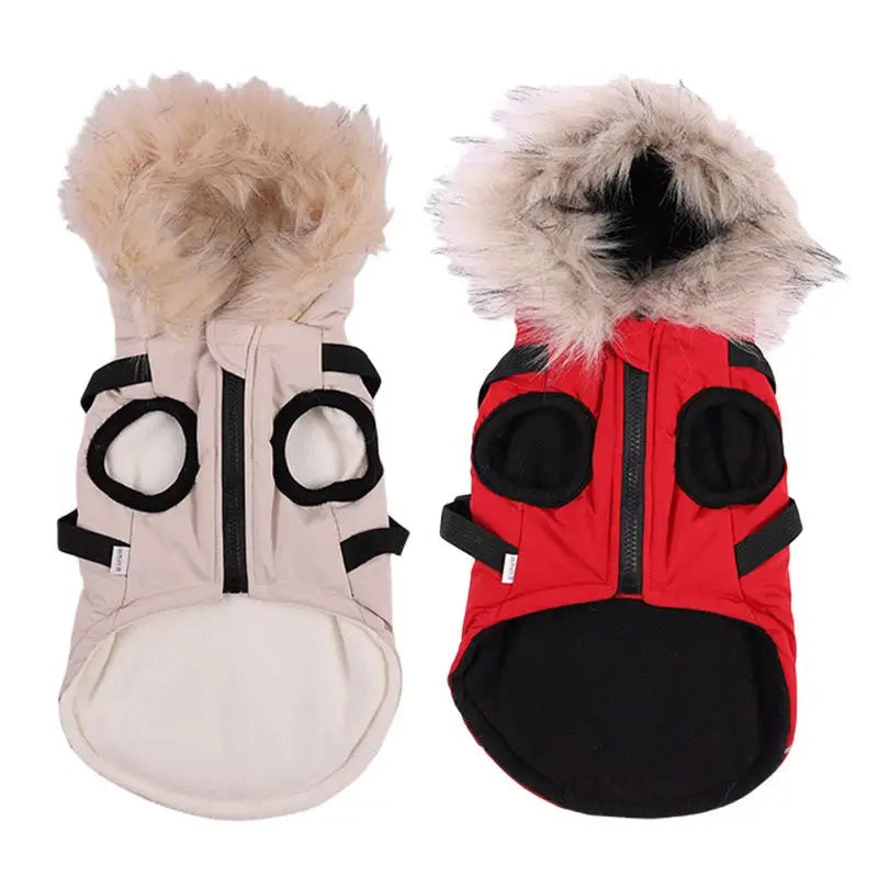 Winter Pet Dog Jacket With Harness Warm Waterproof Hooded Coat For Small And Medium Dogs Chihuahua French Bulldog Outfit