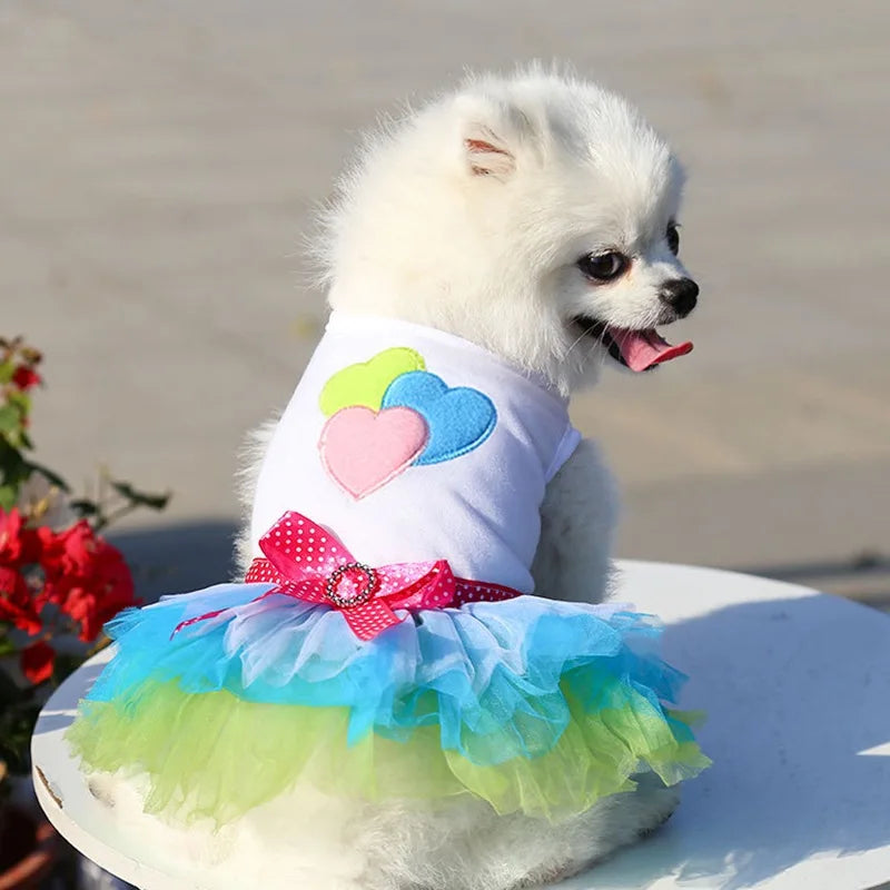 Sweet Dog Princess Dress for Small Dogs Lace Tutu Skirt Pet Apparel Summer Autumn Chihuahua Dress