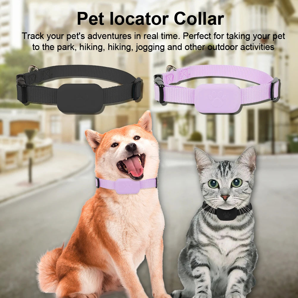 Hign-concerned iOS Puppy Collar Battery Operated Tracking