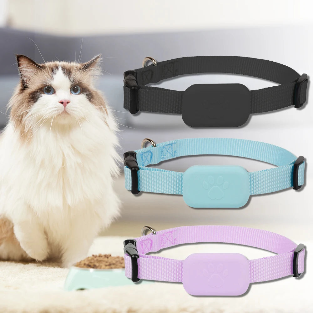 Hign-concerned iOS Puppy Collar Battery Operated Tracking