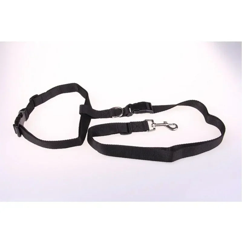 Adjustable Cat Dog Walking Lead Belt with Free Rope Supplies