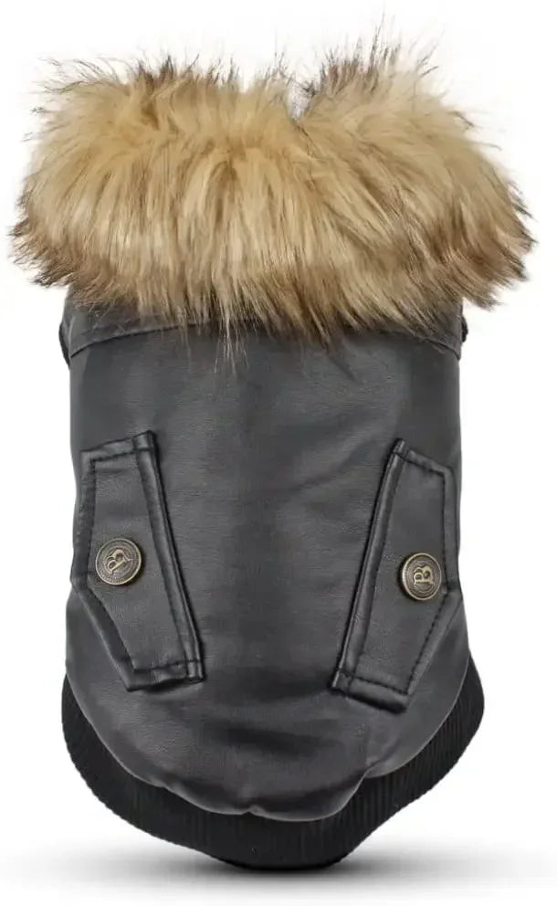 Winter Waterproof PU Dog Jacket for Medium Dogs by NoEnName
