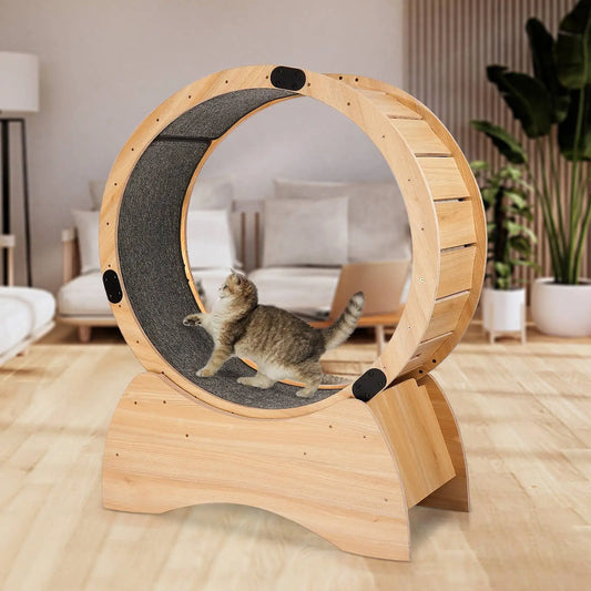 Wooden Cat Treadmill Exercise Roller for Fitness and Fun