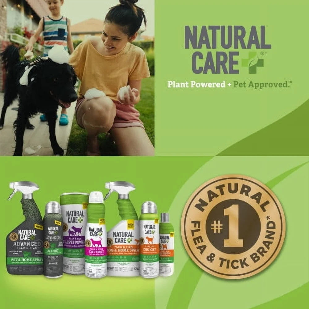 Flea and Tick Dog Shampoo Peppermint Scent Natural Plant Extracts Biodegradable 12oz