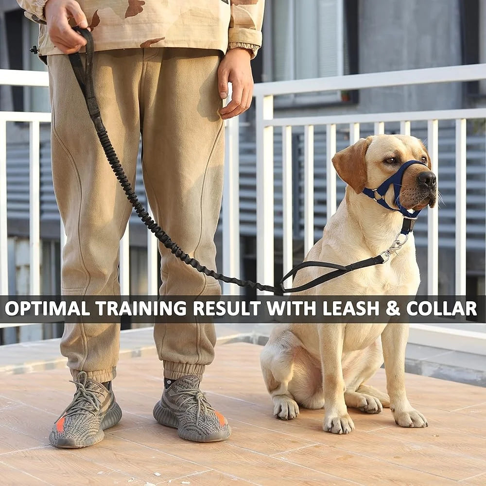 No Pull Dog Training Halter Adjustable Head Collar Easy Fit Harness with Gentle Control and Safety Link