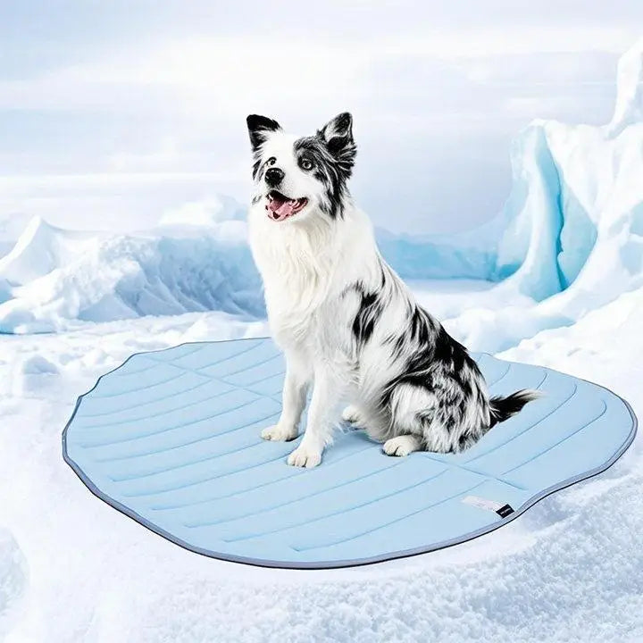 Zonli Eco-Friendly Cooling Pet Mat for Large Dogs and Cats