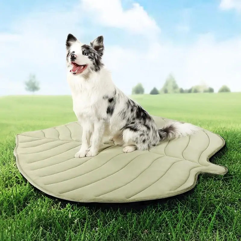 Zonli Eco-Friendly Cooling Pet Mat for Large Dogs and Cats