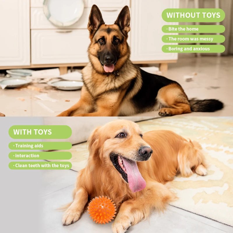 18 Piece Dog Toy Set with Squeaky Chew Toys and Ropes