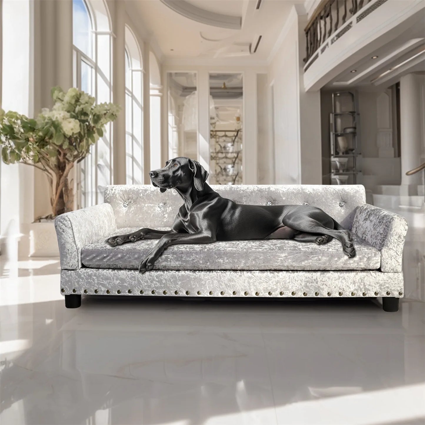 BingoPaw Jumbo Dog Sofa Bed Velvet Memory Foam Lounge Couch