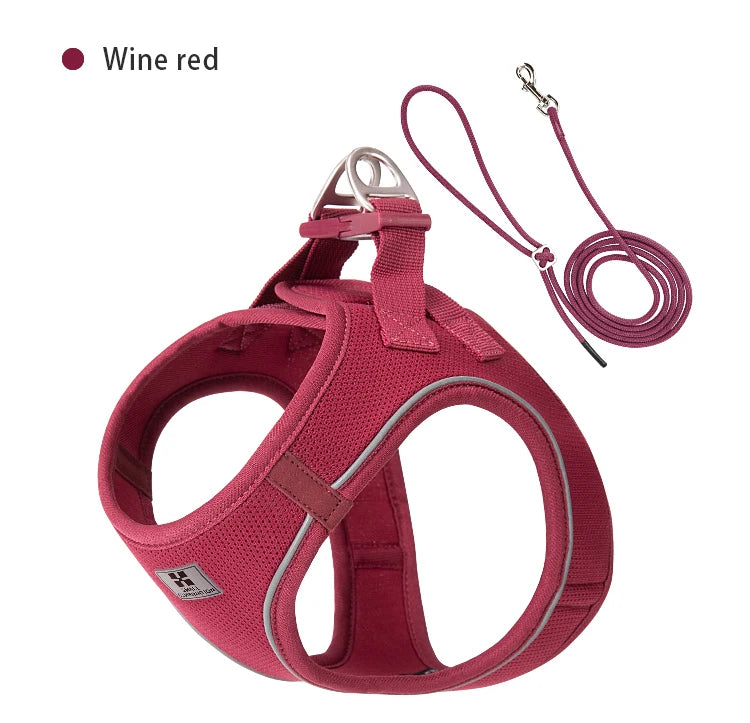 Adjustable Reflective Dog Harness Leash Set for Small Dogs