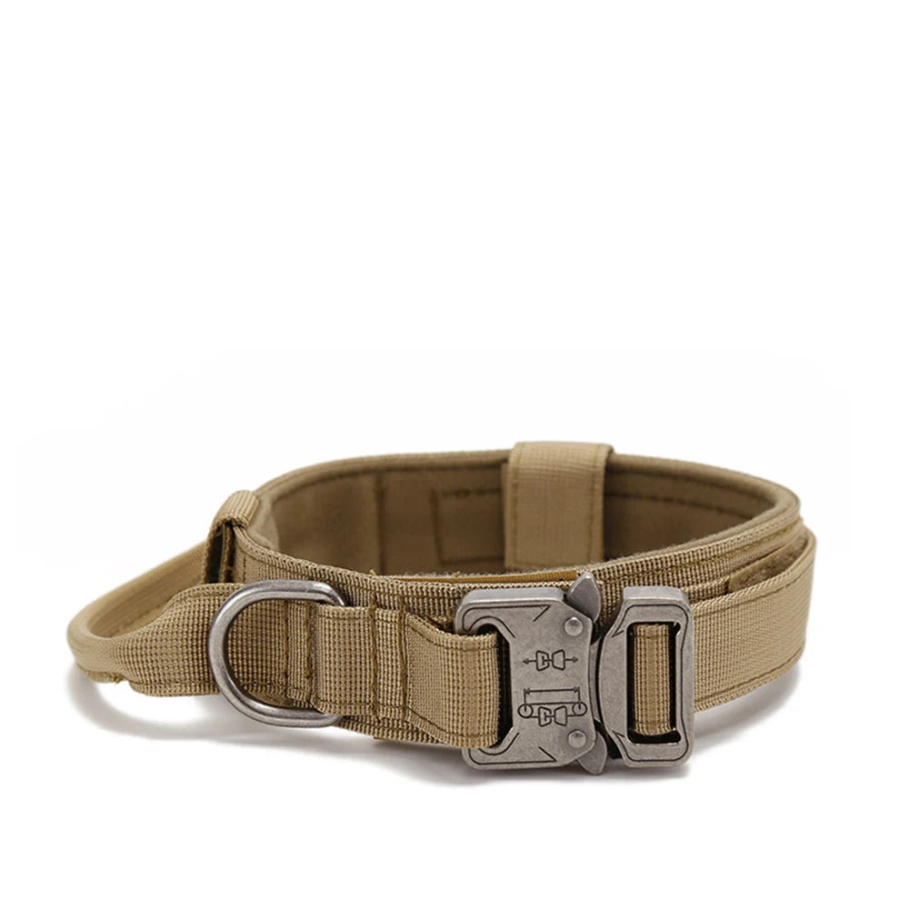 Durable Nylon Dog Collar and Leash Set for Large Breeds