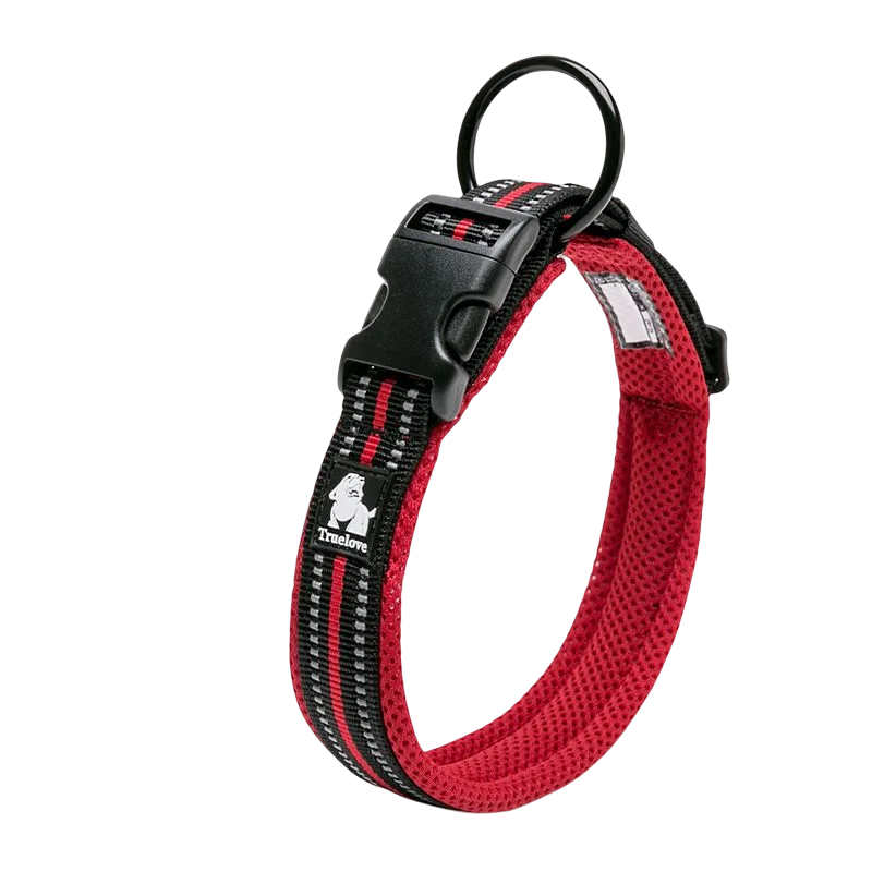 Winhyepet Nylon Dog Walking Collar Padded Comfort Buckle