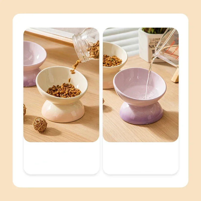 Tilted Ceramic Pet Bowl for Cats and Dogs Raised Feeding Station