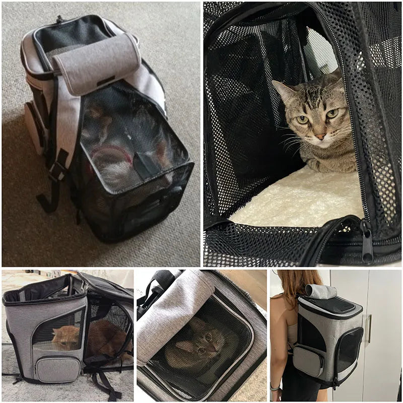 Breathable Foldable Pet Carrier Backpack for Cats and Dogs