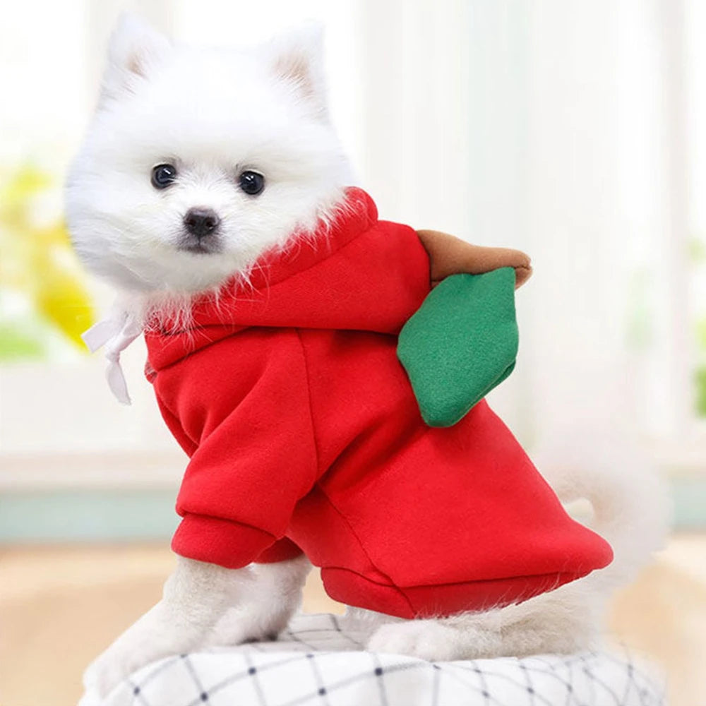 Cute Fruit Dog Clothes for Small Dogs Hoodies Warm Fleece Pet Clothing Puppy Cat Christmas Coat Chihuahua Jacket Suits