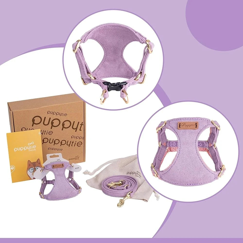 CN Fujian Adjustable No Pull Puppy Harness With Leash