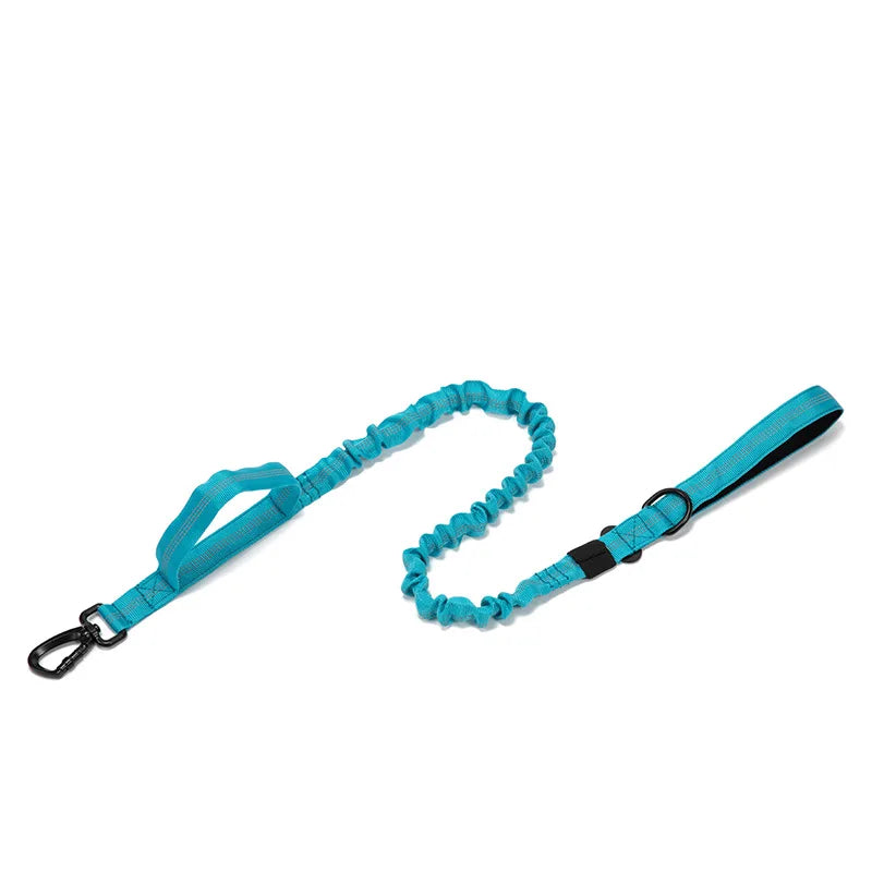 Durable Nylon Dog Collar and Leash Set for Large Breeds