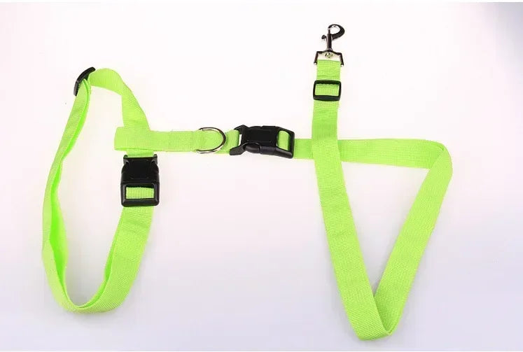 Adjustable Cat Dog Walking Lead Belt with Free Rope Supplies