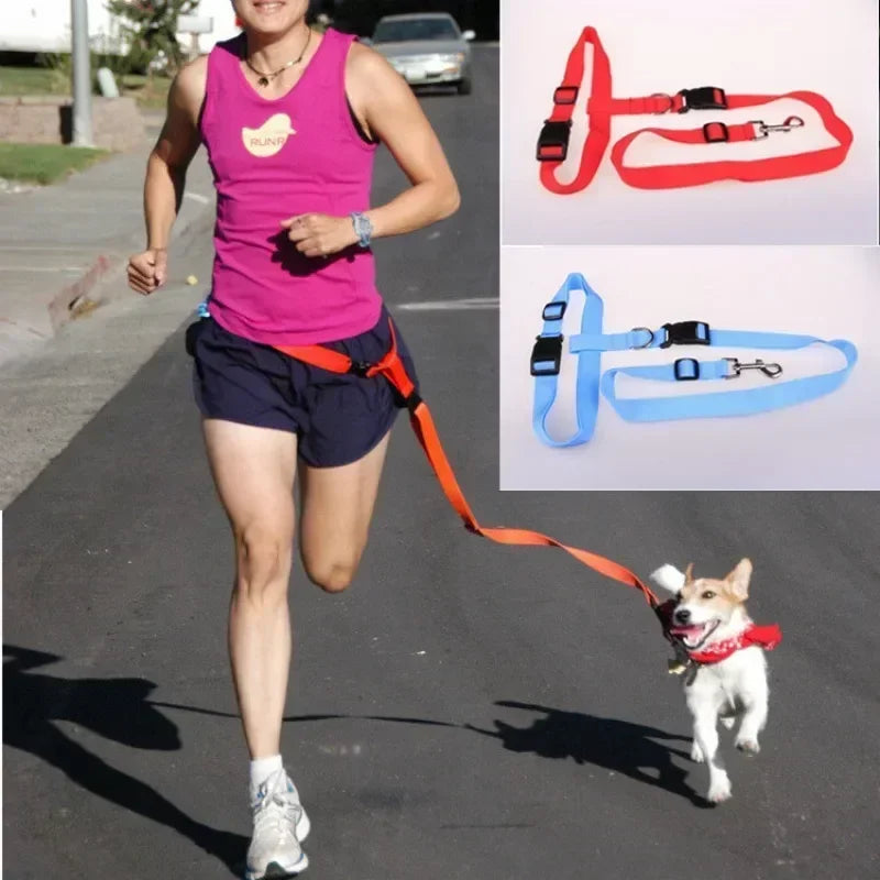 Adjustable Cat Dog Walking Lead Belt with Free Rope Supplies