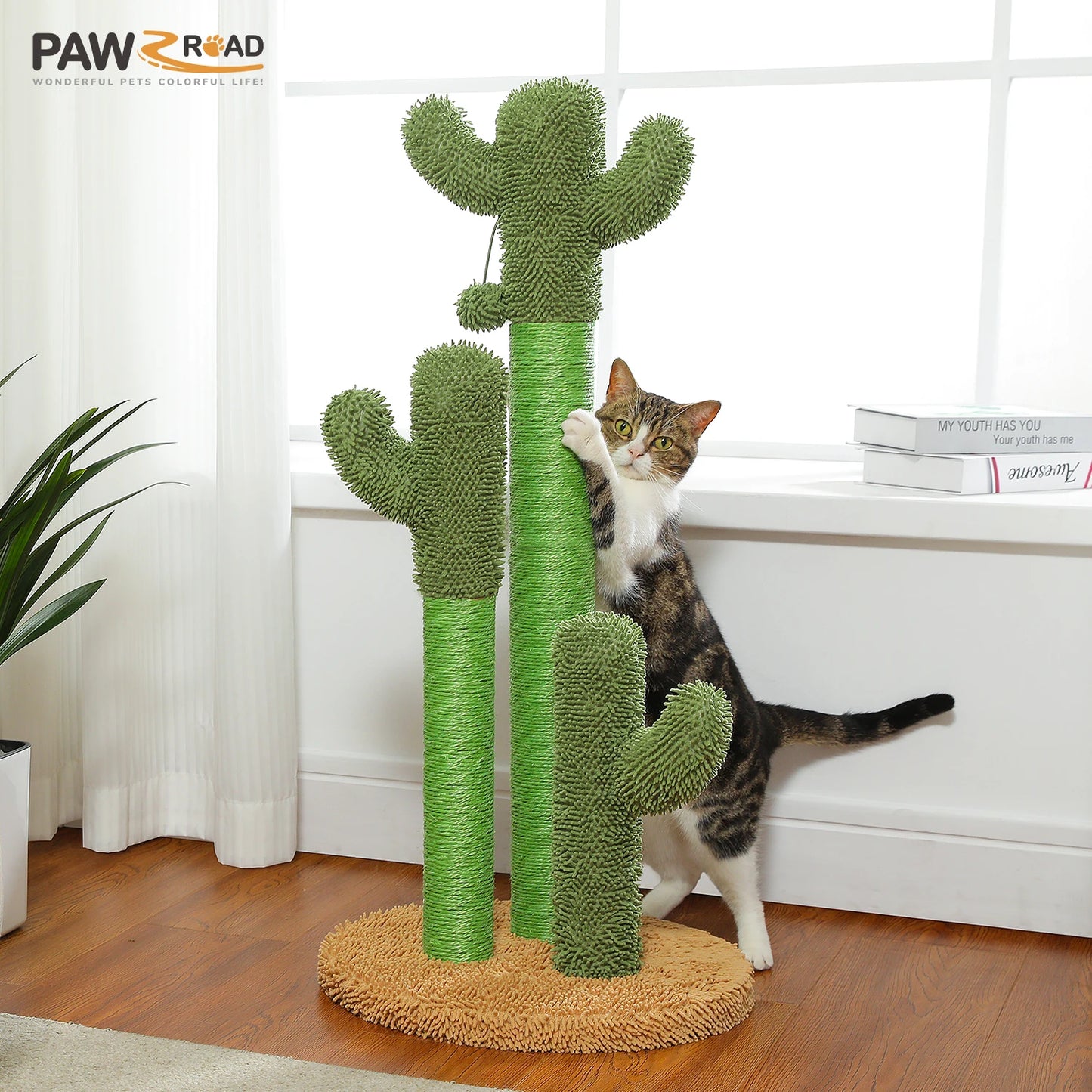 Pequlticn Cactus Cat Tree With Condo Hammock Ball Indoors