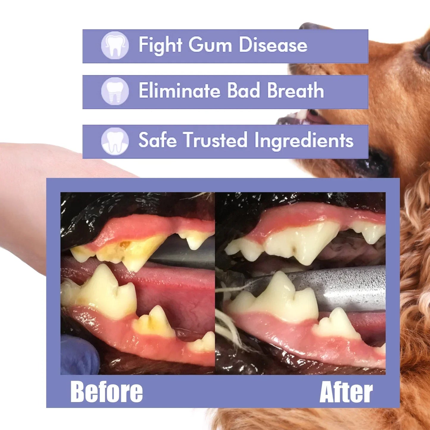 Pet Tooth Cleaning Spray for Dogs and Cats 30ml Oral Care Freshener Deodorization Dental Care