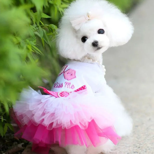 Sweet Dog Princess Dress for Small Dogs Lace Tutu Skirt Pet Apparel Summer Autumn Chihuahua Dress