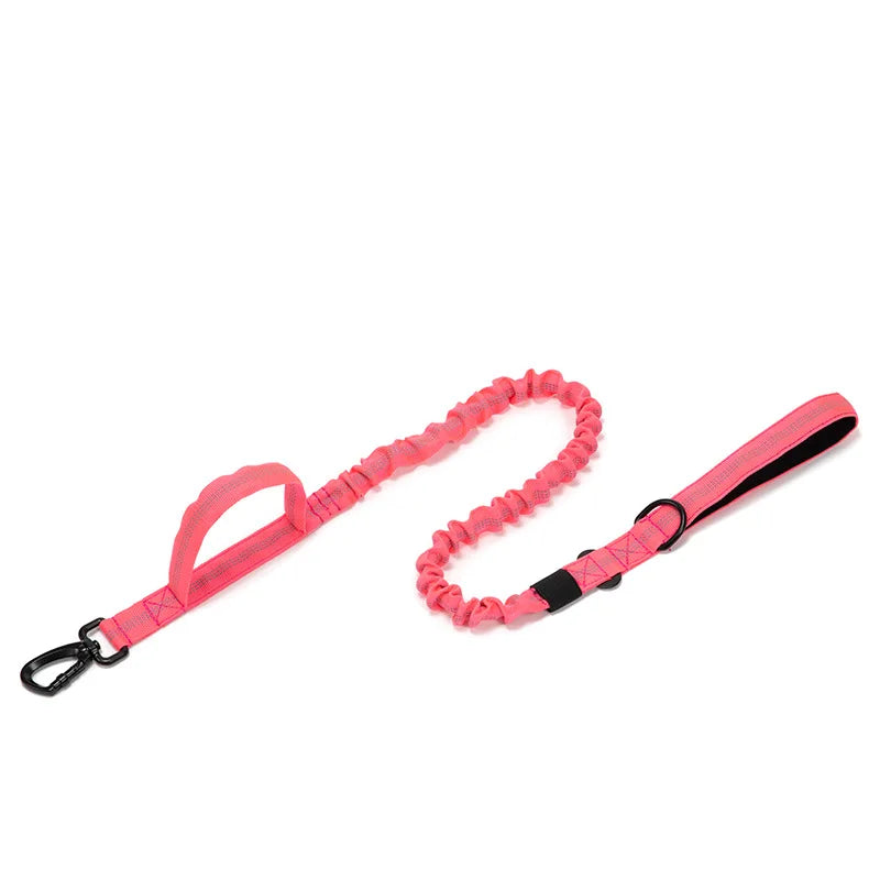 Durable Nylon Dog Collar and Leash Set for Large Breeds