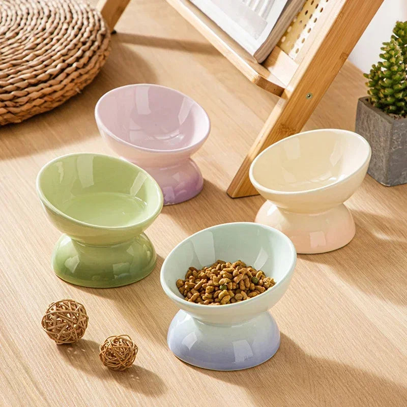 Tilted Ceramic Pet Bowl for Cats and Dogs Raised Feeding Station