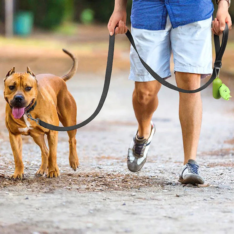 HubeiChoice Reflective Dog Harness Leash For Cats And Dogs
