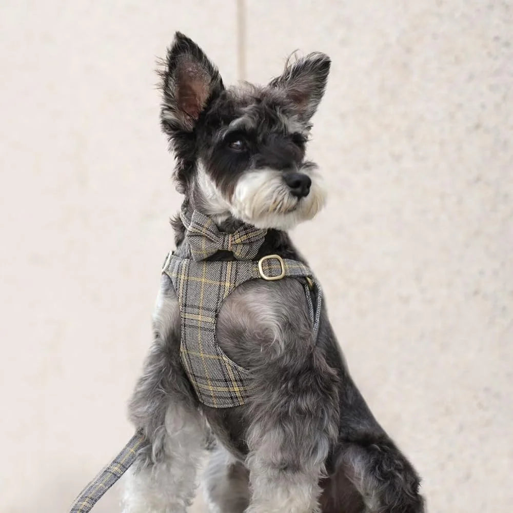 Cute Small Dog Harness Set with Adjustable Plaid Collar and Leash