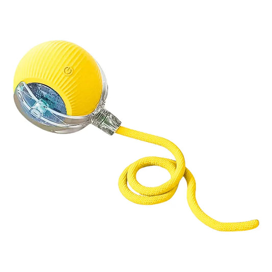 Interactive USB Rechargeable Cat Toy Ball for Indoor Fun